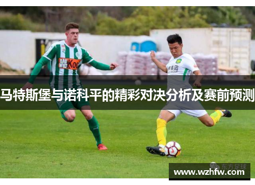 马特斯堡与诺科平的精彩对决分析及赛前预测